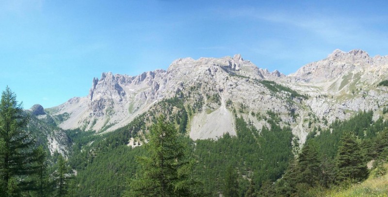 Tenailles : Magnifiques ces tenailles