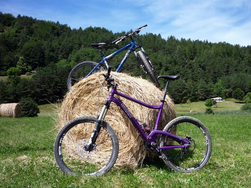 #2 Amour : Les vélos sont contents et en profite pour se déclarer leurs flammes dans les foins ;-) Amour : Les vélos sont contents et en profite pour se déclarer leurs flammes dans les foins ;-)