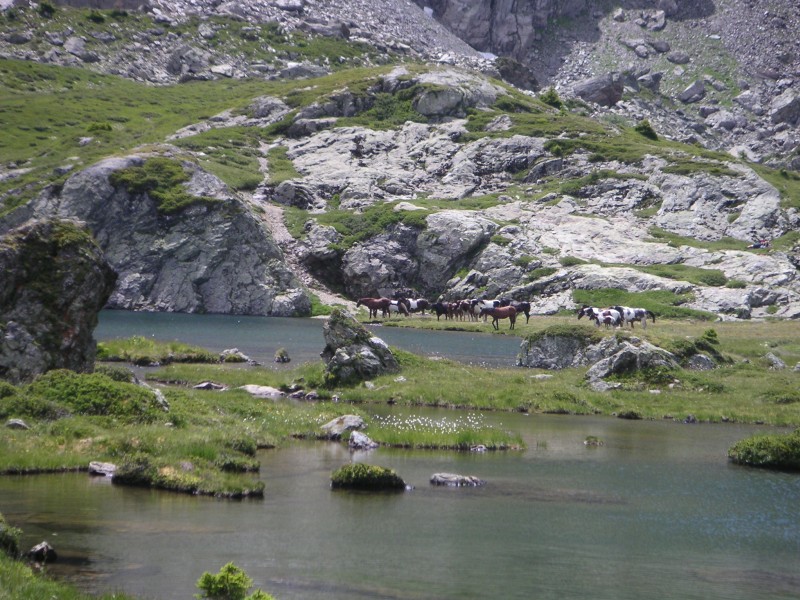 #5 Lac Noir : Tout le monde a chaud. Lac Noir : Tout le monde a chaud.