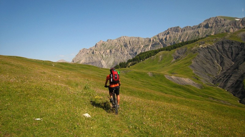 Col des 30 souches : Arrivée, ambiance verte