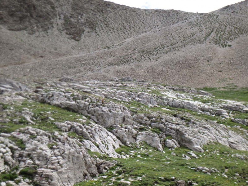#10 Collet du Peyron : Descente quelque peu technique sur pierrier au départ, et par un single que l Collet du Peyron : Descente quelque peu technique sur pierrier au départ, et par un single que l'on peut perdre facilement pris en défaut de vigilance