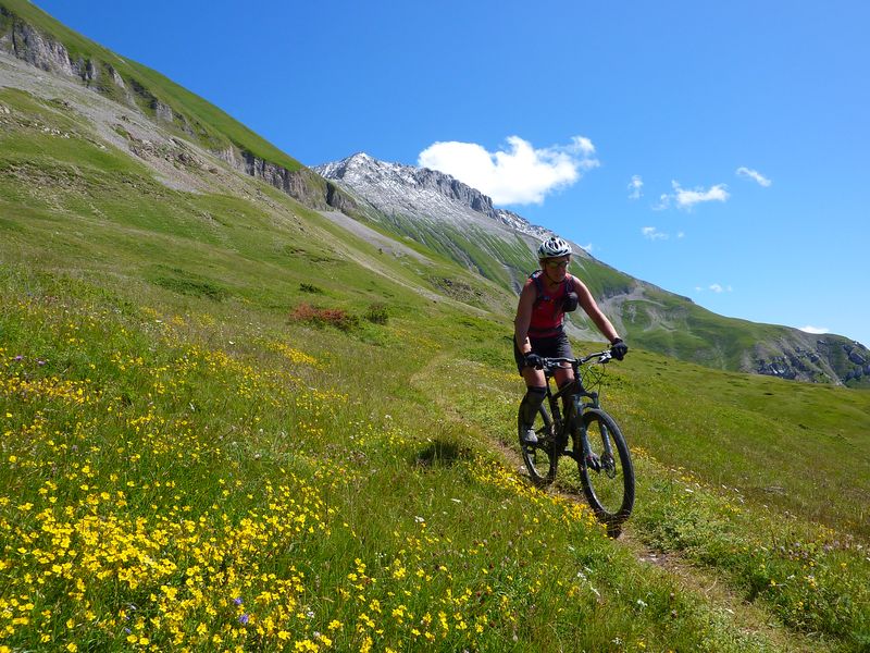 Col de l'Aiguille : Puis ça devient bien vert et fleuri