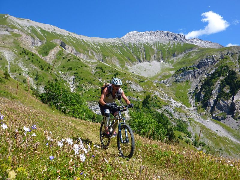 Aiguille de l'Obiou : Une dernière pour les couleurs et les fleurs