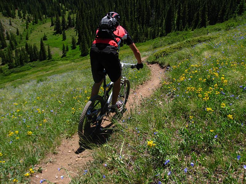 #6 Monarch Crest Trail : Silver Creek trail: une première partie qui envoie Monarch Crest Trail : Silver Creek trail: une première partie qui envoie
