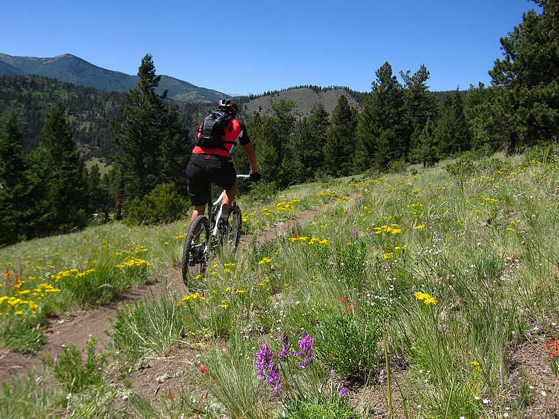 #10 Monarch Crest Trail : bientôt la fin Monarch Crest Trail : bientôt la fin