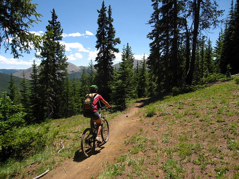 #5 Monarch Crest Trail : Alternance forêt/prairie, ici les étages de végétation sont moins tranchés qu Monarch Crest Trail : Alternance forêt/prairie, ici les étages de végétation sont moins tranchés qu'en Europe