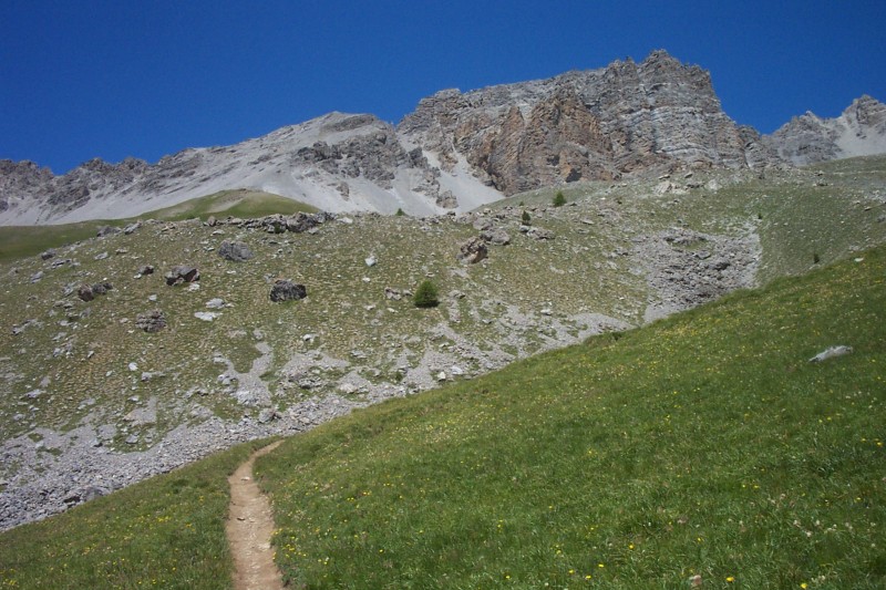 GR 58 montant au col : Dominé par le Pic de Rochebrune