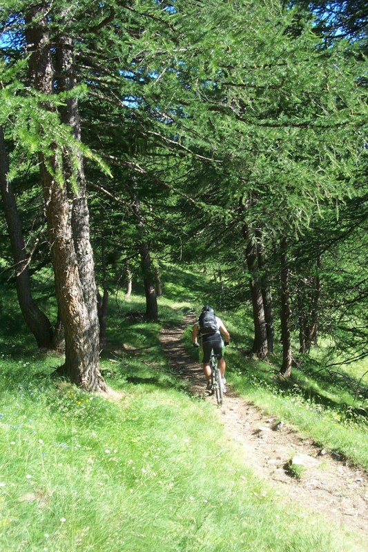 Sentier Queyrasien : Quel bonheur !