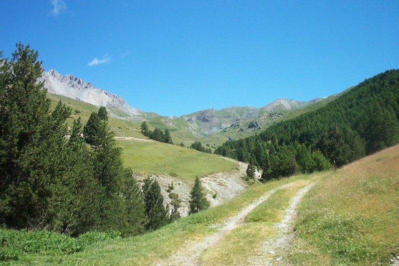 Col de Péas : La piste remonte très haut, presque sous le col de Péas. Les parois de Rochebrune sont impressionnantes.