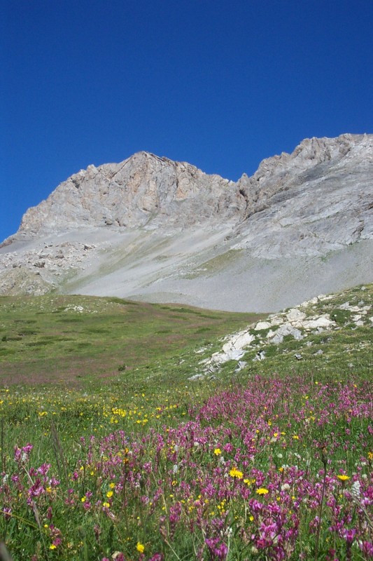#22 Queyras : Mais que c Queyras : Mais que c'est beau !!!!!!!!!