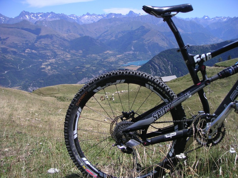 Ecrins : Les Ecrins, le lac du Sautet, les vaches, la bête...