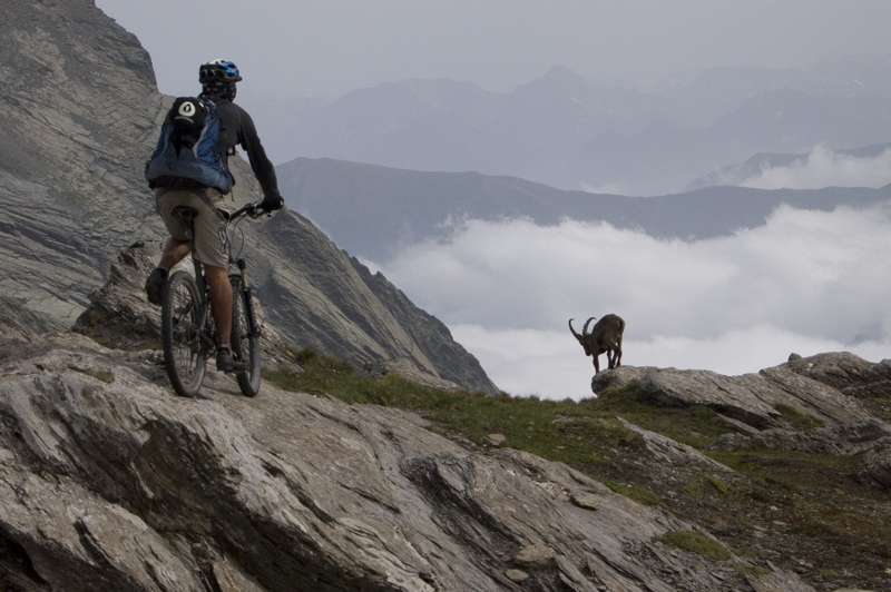 Passo de la Losetta : Rencontre