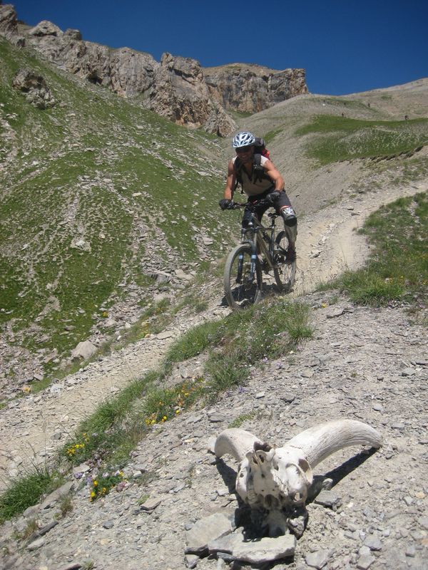 Gillou envoie ! : Le bouquetin n'a pas survécu à la descente ;-)