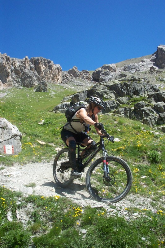 #7 Zigual : Tout en finesse sous le col Zigual : Tout en finesse sous le col