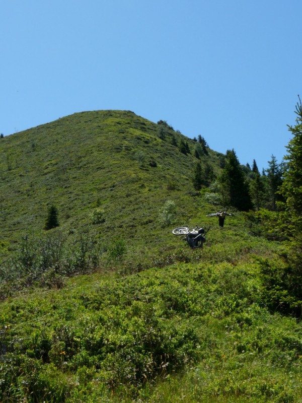 Portage : Le portage au milieu des myrtilles n'est pas toujours évidant.