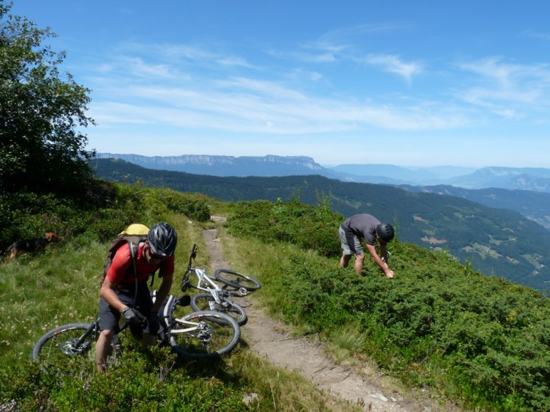 Pause myrtille : On reprend des forces avant la descente, les myrtilles sont excellentes.