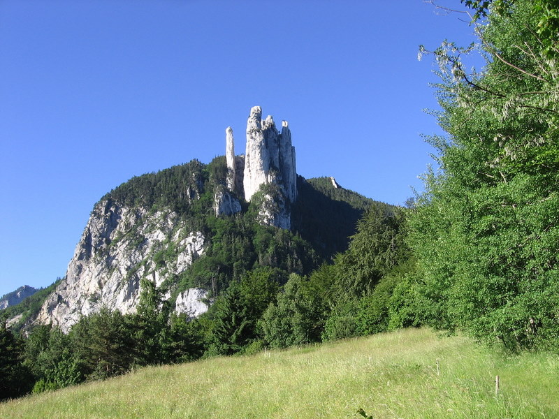 Bouclette en Vercors Oriental : 3 Pucelles au champ!