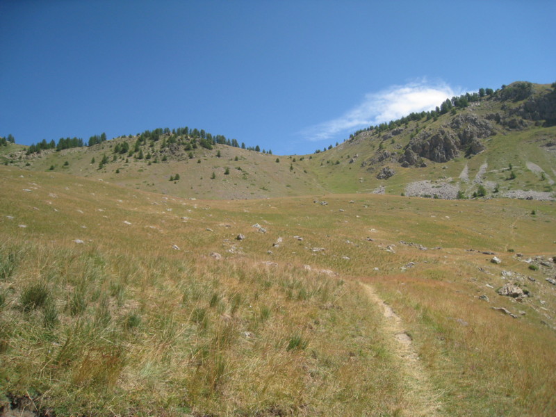 #3 Tramouillon : le col, plein centre. Tramouillon : le col, plein centre.