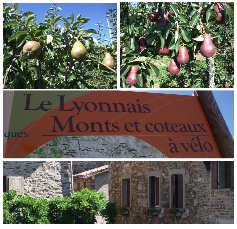 Coteaux du Lyonnais : Entrée dans le garde-manger lyonnais