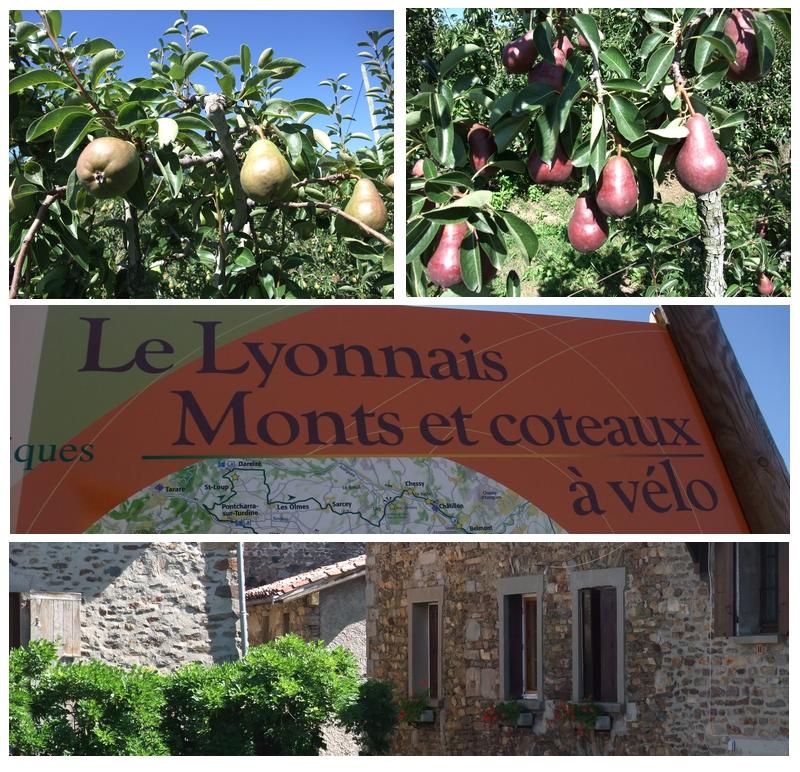 #10 Coteaux du Lyonnais : Entrée dans le garde-manger lyonnais Coteaux du Lyonnais : Entrée dans le garde-manger lyonnais
