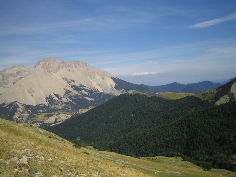 Col de Plate Contier : Foret D'Aune et montagne d'Aurouze au fond