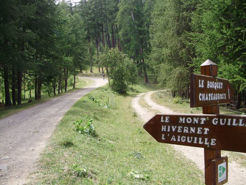 #9 Puis on re-trouve la piste : très roulante et très belle, qui monte jusqu Puis on re-trouve la piste : très roulante et très belle, qui monte jusqu'à Pré Clos