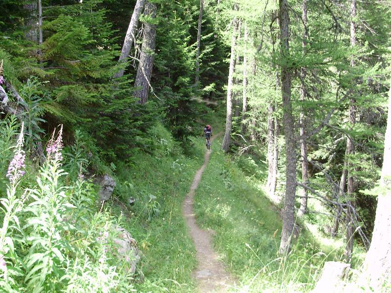 #8 Sentier Widman : qui monte au dessus du Parking des Muandes. Sentier Widman : qui monte au dessus du Parking des Muandes.