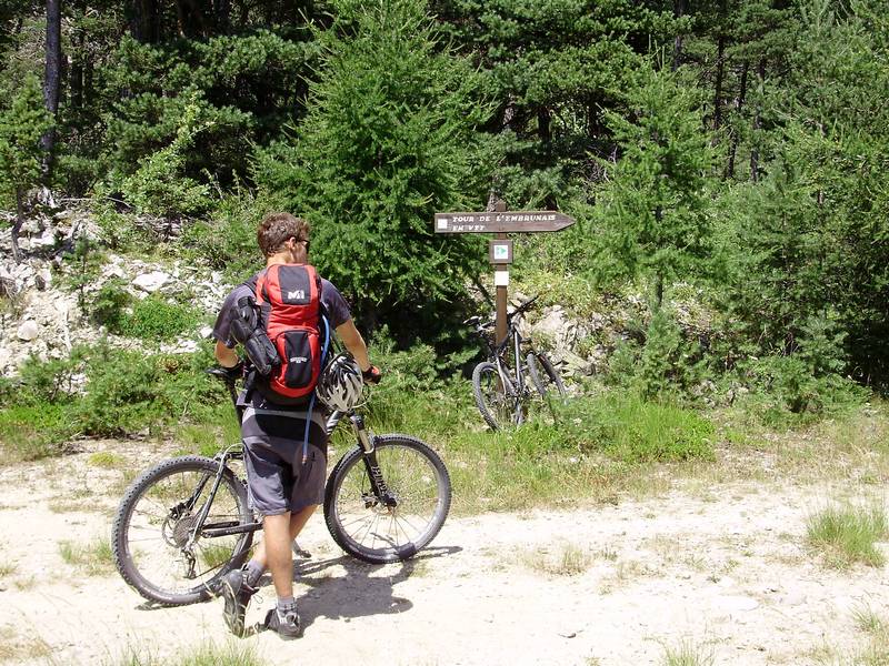 #6 Heureux : de retrouver enfin la piste forestière Heureux : de retrouver enfin la piste forestière