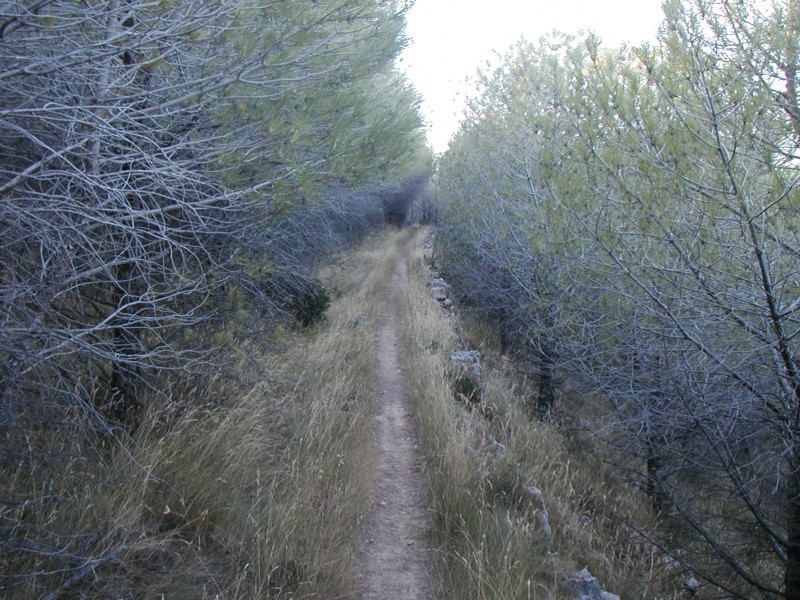 #11 re-re-single : Ligne droite dans les pins : mach 2. re-re-single : Ligne droite dans les pins : mach 2.