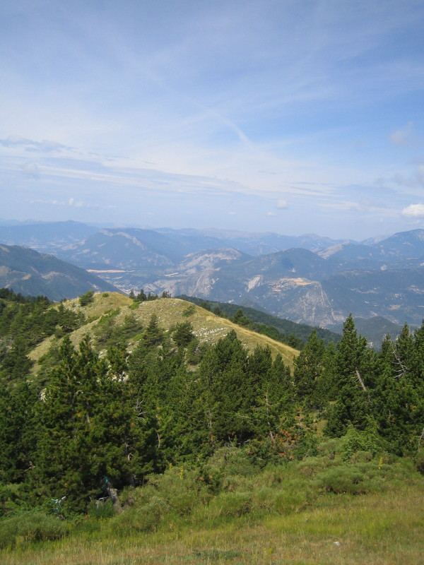 #7 Sanglier : La descente passe sur cette crête Sanglier : La descente passe sur cette crête