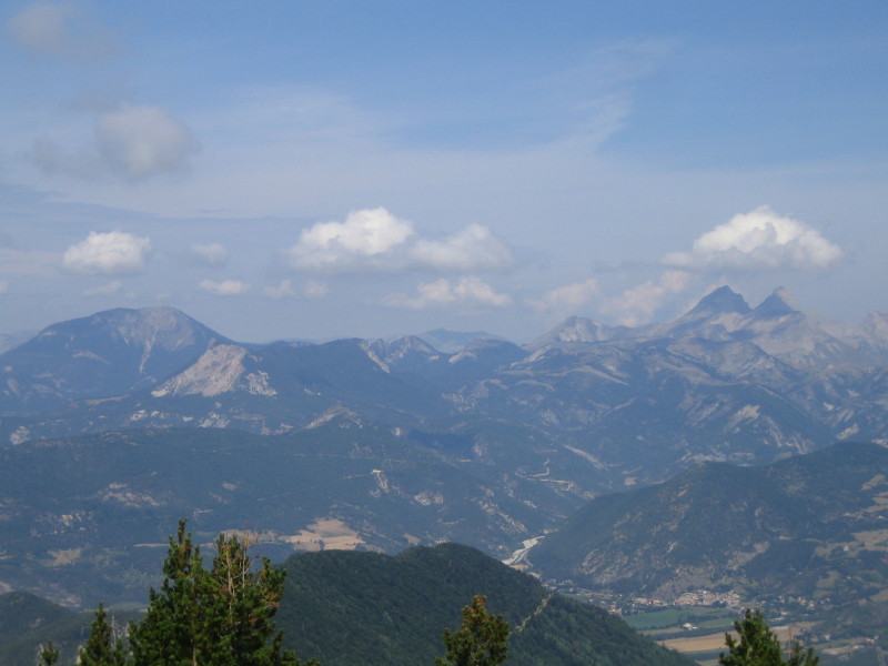 Sanglier : Mt Durbonas et Montagne de Garnesier