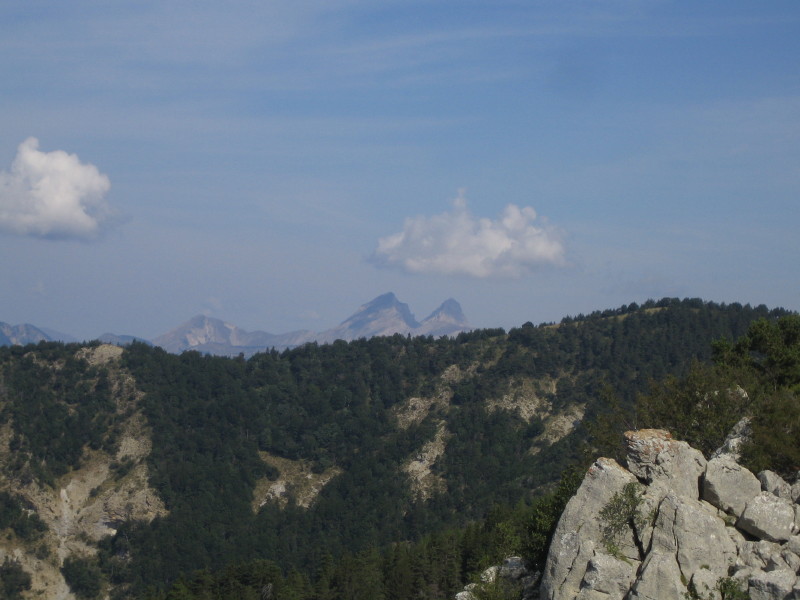 Sanglier : Montagne de Garnesier au fond