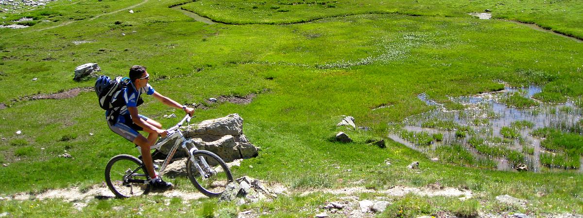 Zone humide : sous le col du Vallonnet