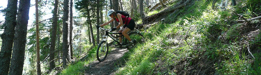 Après l'expo, le réconfort : de la forêt