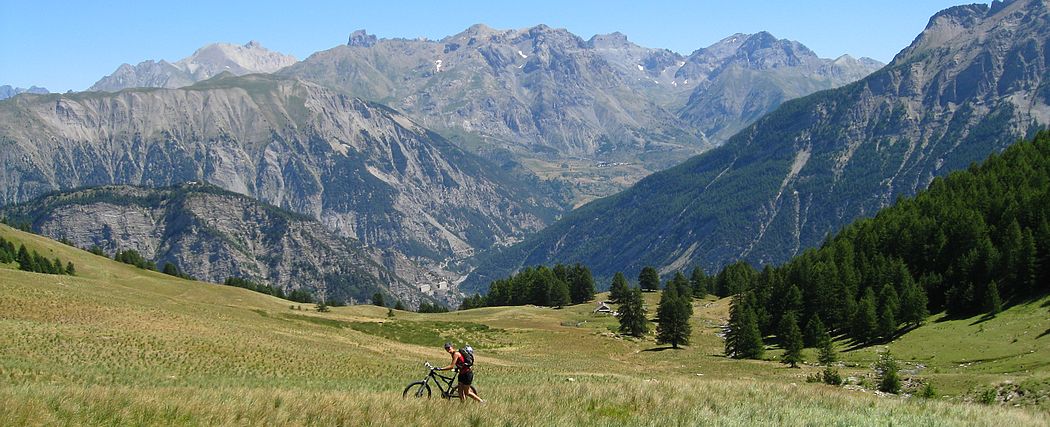 Bel alpage : avec des herbes hautes