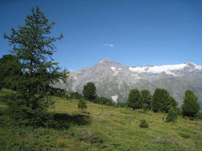 Parrachée : Parrachée et Dôme de la Vanoise, omniprésents sur cette rando!