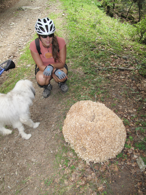 #7 Rencontre bizarre avec... : ... un champignon ! Enormissime... Rencontre bizarre avec... : ... un champignon ! Enormissime...