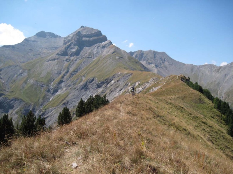 #11 Crête de la Croix de la Garde : Sur la crête vers les Sud Crête de la Croix de la Garde : Sur la crête vers les Sud