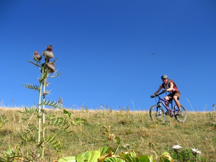 #4 Chardon et freeride : On n Chardon et freeride : On n'écrase pas la flore