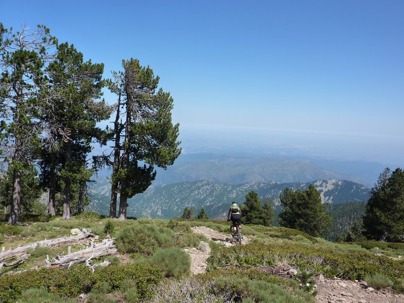 Et ça continue... : Dans la verdure.