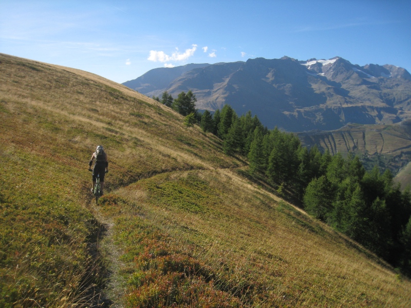 #6 Forêt de Besse. : Entrée dans le Single "épinglu" Forêt de Besse. : Entrée dans le Single "épinglu"