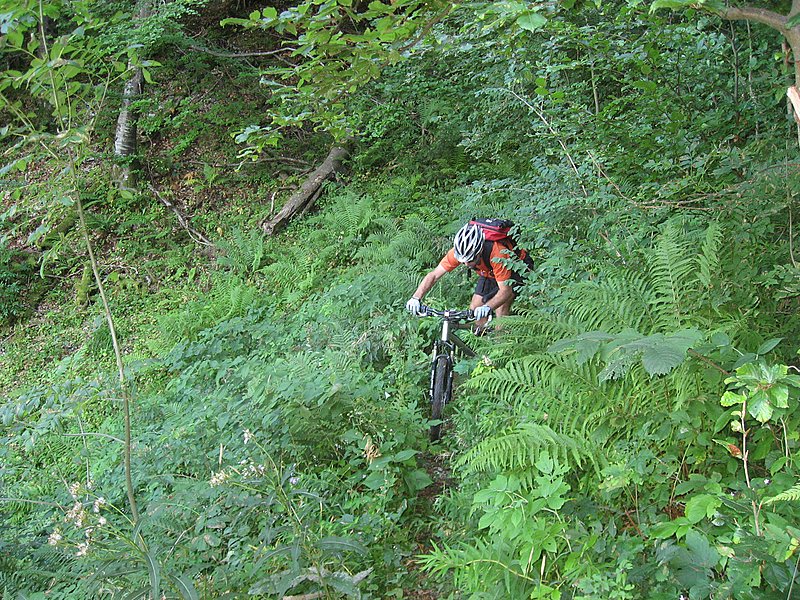 #6 Rocher du Pin : Végétation et rochers au programme Rocher du Pin : Végétation et rochers au programme