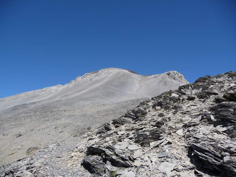 #8 Wildstrubel : Le sommet en vue Wildstrubel : Le sommet en vue