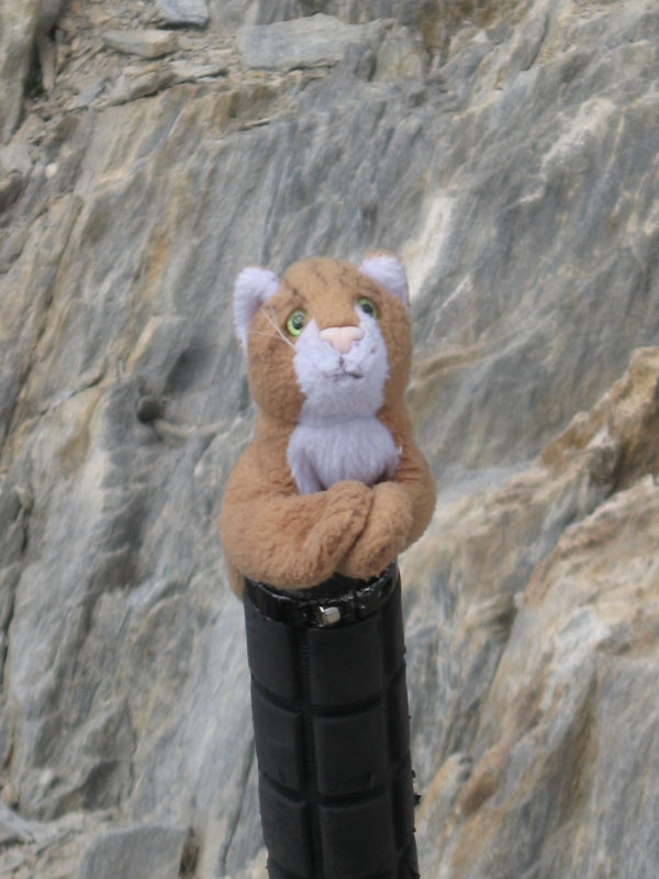 #8 sommet de la pointe d sommet de la pointe d'aval. : 2 eme 3000 de la journée pour doudou chat