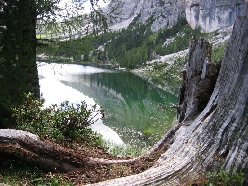 Dolomites-Forcella Ambrizola : Lago de Fedèra o da Lago