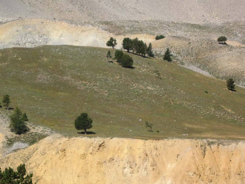 Alpage des Thures : Comme une mongolie intérieure