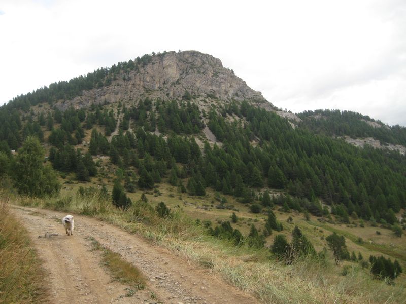 Alpages jaunis : Col des Lauzes à droite.
