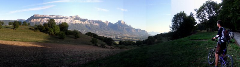 Vue du matin : Au détour d'une forêt, un régal avec la lumière du matin