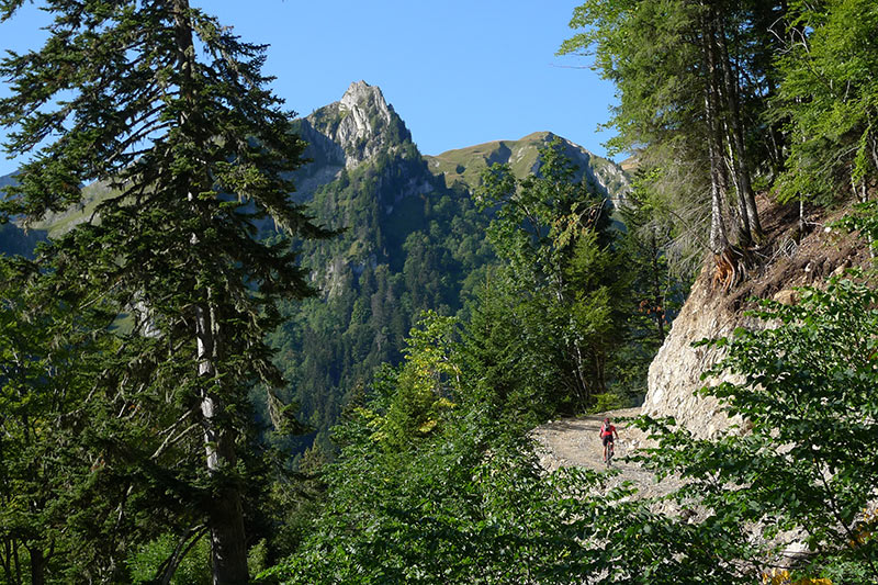 Piste du Rosay : Ouverte en été 2009