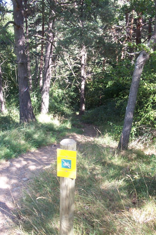 #6 Interdiction VTT : Et je ne descendrai pas par là non plus Interdiction VTT : Et je ne descendrai pas par là non plus